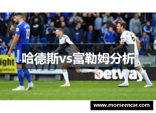 哈德斯vs富勒姆分析